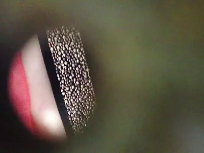 幸运的家伙设法在特写视频中记录了他 GF 的湿阴户