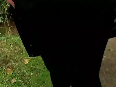 人妖吮吸和他妈的迪克直到它射精